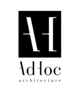 Ad Hoc Architecture